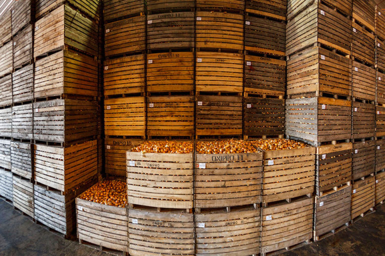 Vegetables Storage Groupe Vegco